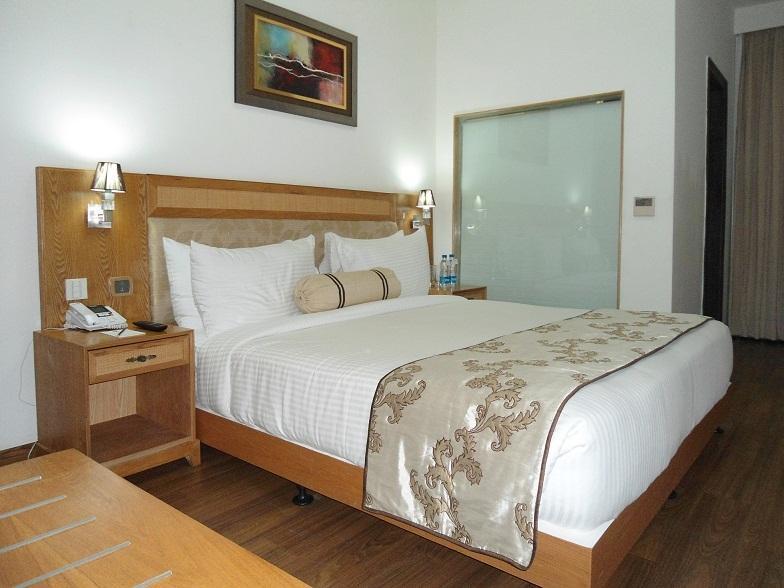 Comfort Inn Anneha New Delhi Phòng bức ảnh