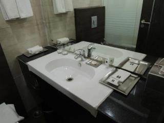 Comfort Inn Anneha New Delhi Ngoại thất bức ảnh